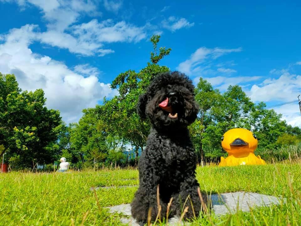 依比鴨鴨水岸會館 Ducking House Bed & Breakfast Руисуи Екстериор снимка