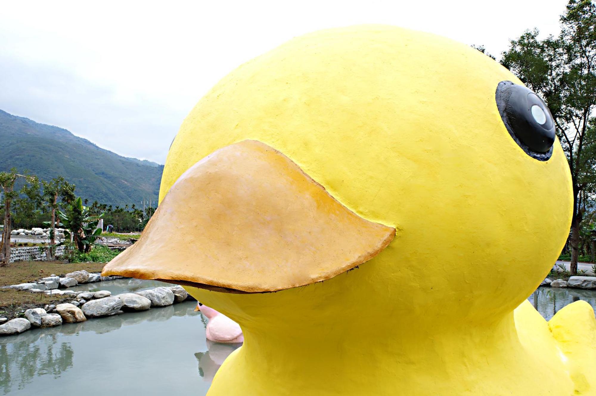 依比鴨鴨水岸會館 Ducking House Bed & Breakfast Руисуи Екстериор снимка